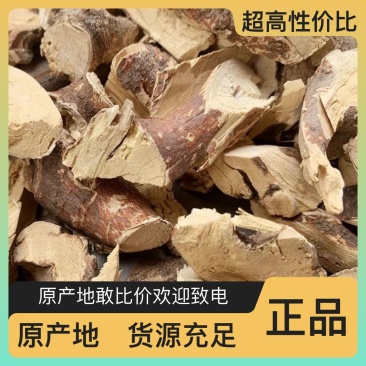 精选五指毛桃原产地直供欢迎电话咨询