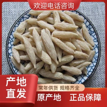 24小时在线服务一手货源麦冬充足供应