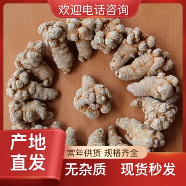 当季新货三七各种规格一手货源各种药材