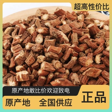 丹参丹参苗丹参段丹参条子长期供货产地直销规格齐全