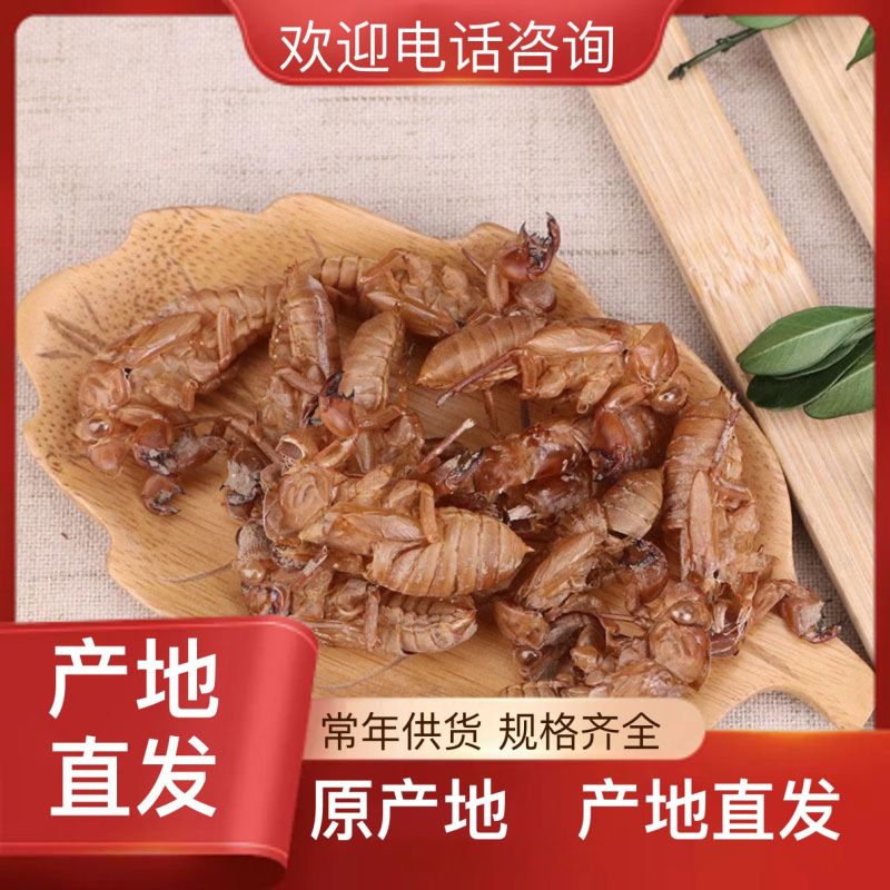 知了猴壳，蝉壳，蝉蜕纯野生正品保证量大从优现货200斤