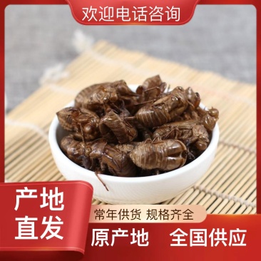 蝉蜕特惠规格齐全超高性价比24小时在线服务