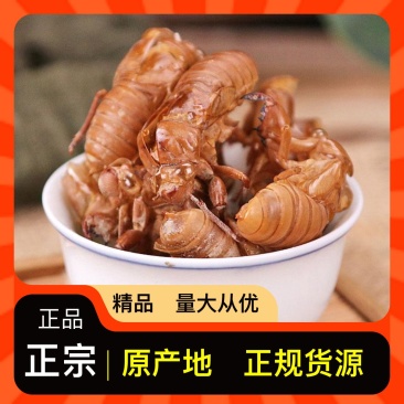 蝉蜕产地直发货源充足正宗品质欢迎电话咨询