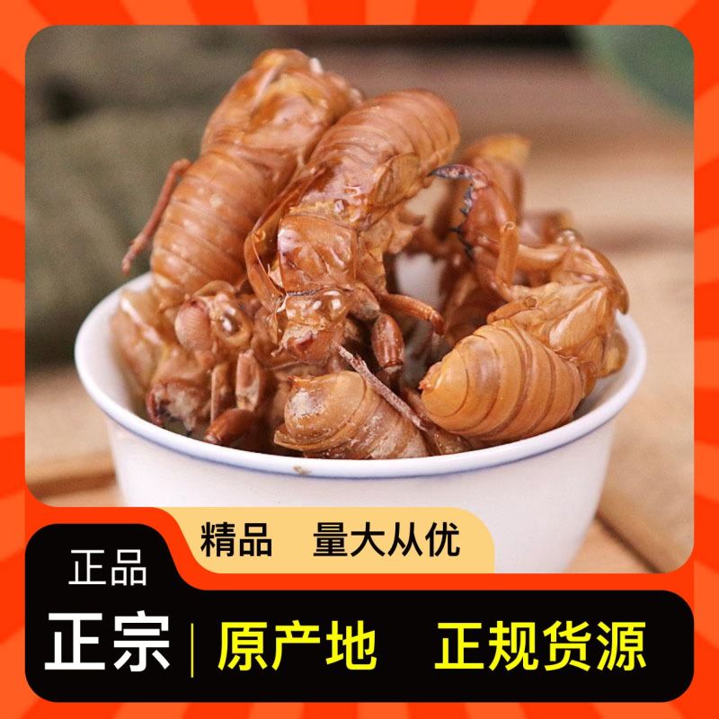 蝉蜕产地直发货源充足正宗品质欢迎电话咨询