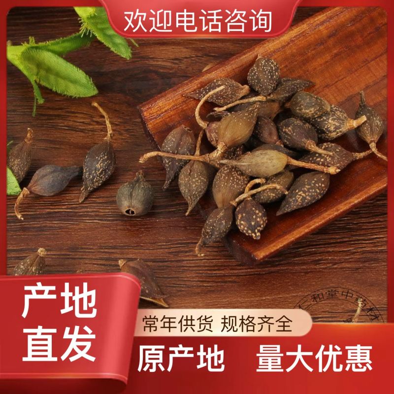 全网比价规格齐全正规货源连翘优选全国发货