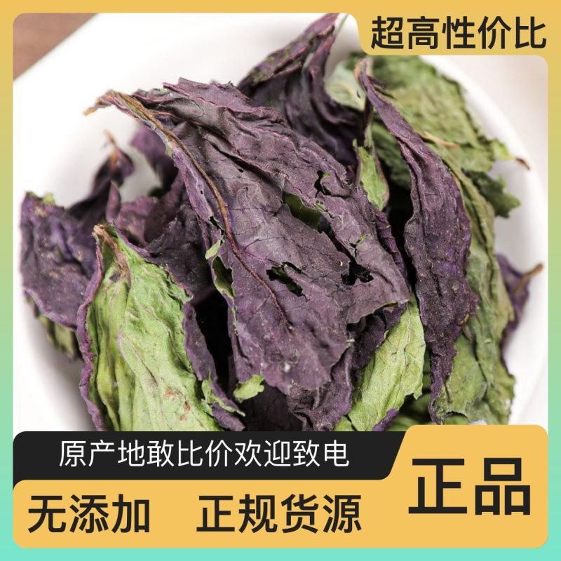 紫苏叶产地直供性价比超高欢迎电话咨询订购