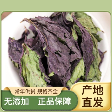 紫苏叶1公斤自家种植保质保量新鲜直供随时可聊购买事宜