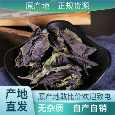 享受营养丰富的紫苏叶正宗自产自销