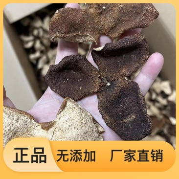 正宗陈皮地道风味超高性价比无杂质保证