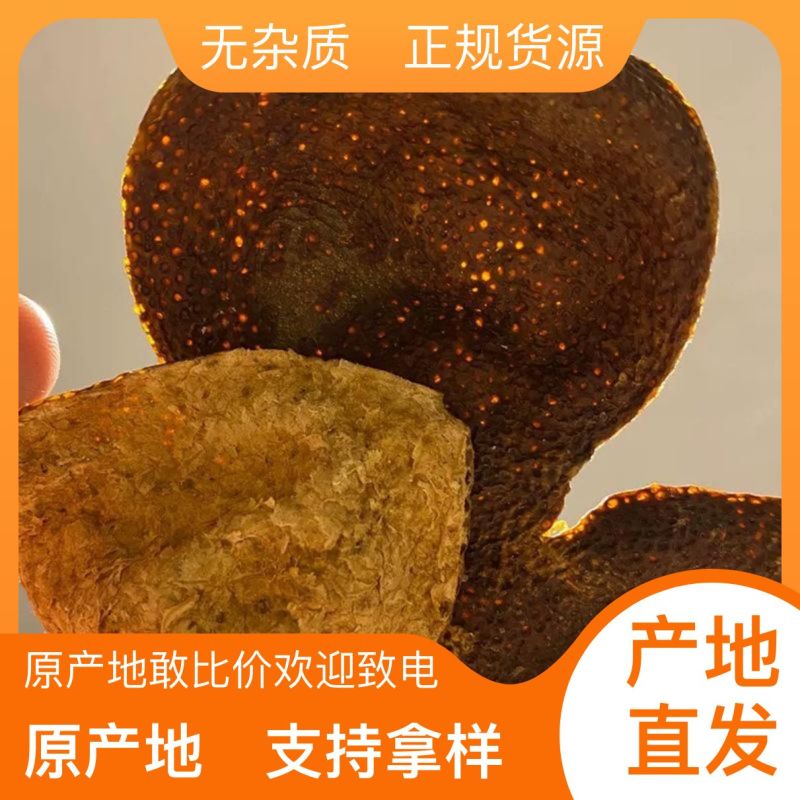 原产地直供营养丰富陈皮现货秒发