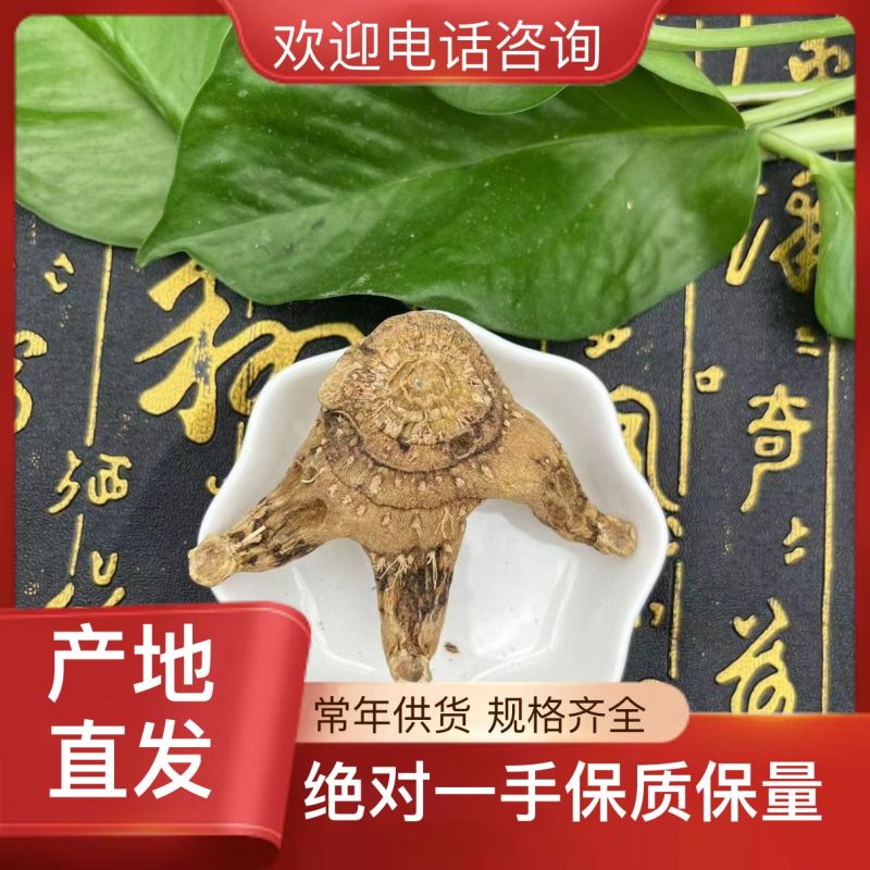 陕西白芨新鲜上市价格美丽对接全国市场质量好走货快欢迎询价