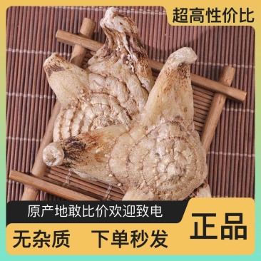 白芨之乡全国供应保质保量现货秒发新鲜直达