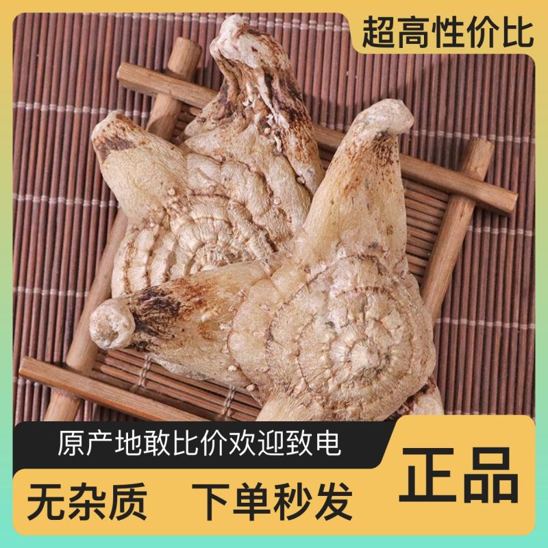 白芨之乡全国供应保质保量现货秒发新鲜直达