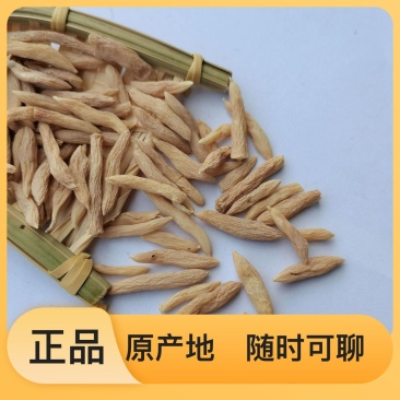 全国供应麦冬产地直发正品保障新鲜直达