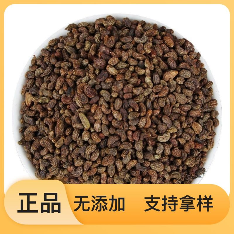 选购自产女贞子精品自然生长好果子随时畅聊