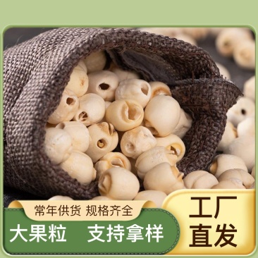精品带心去心湘潭红莲子量大从优