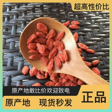 长期供应正宗枸杞量大优惠多品质无忧