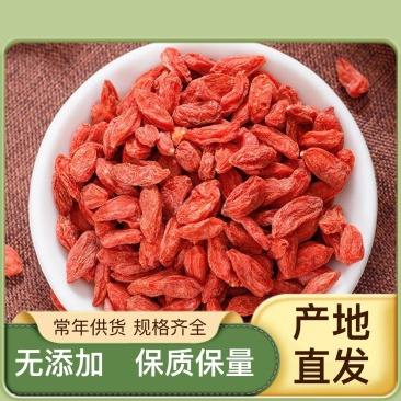 绿色枸杞货源充足无杂质全国供应