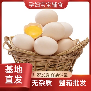 湖北武汉自产自销土鸡蛋优质放心保质保量产地直发