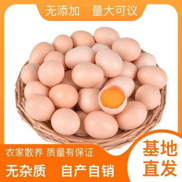 新鲜鸡蛋保质保量现捡现发