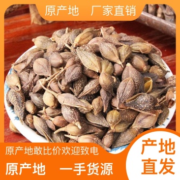连翘长期有货随时可聊无杂质保障
