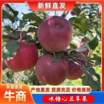 四川盐源冰糖心丑苹果红富士欢迎各大老板电商订购合作