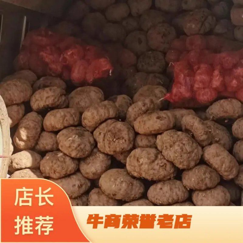 【平台力荐】魔芋鲜芋头精品芋头湖南产地直发省内包邮来电订