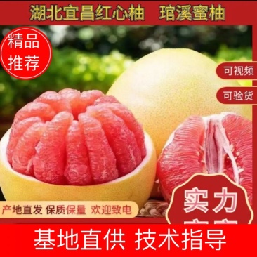 【精选】红心蜜柚湖北蜜柚对接市场电商外贸汁水肉厚