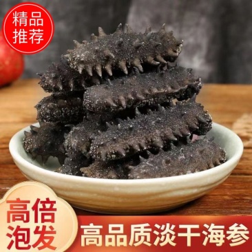 【国标淡干辽参】工厂直供，全国可发质量保证，保涨发10斤