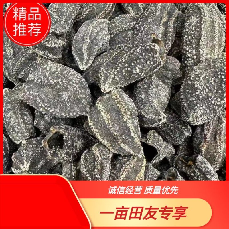 【精品干参皮】精品干海参皮量大有货品质保证欢迎来电咨询