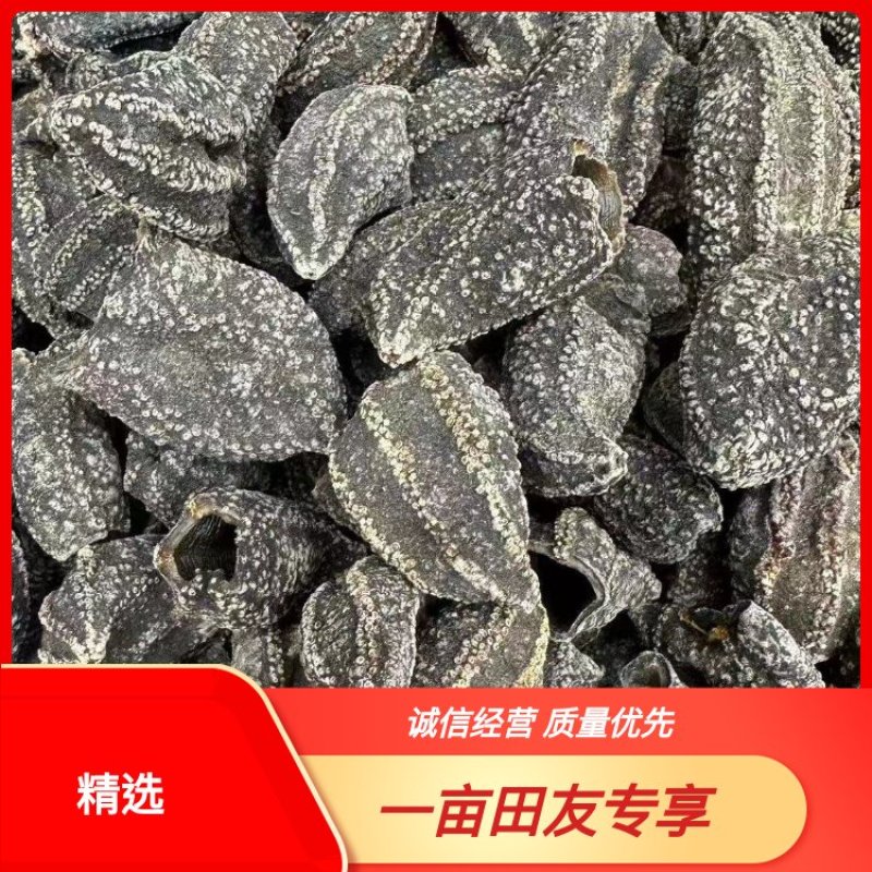 【精品干参皮】精品干海参皮量大有货品质保证欢迎来电咨询