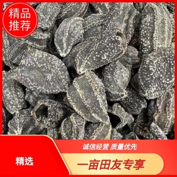 【精品干参皮】精品干海参皮量大有货品质保证欢迎来电咨询