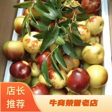 黄骅冬枣，原产地货源，货量充足，果型好，口感好。