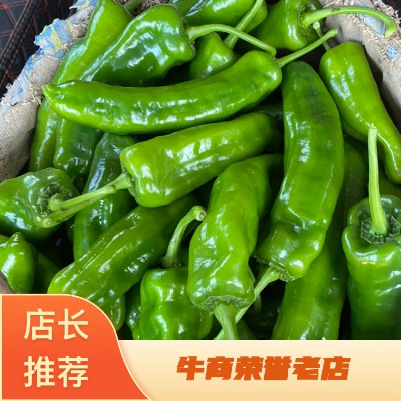 渭南华州区二炮辣子大量供应中货源充足可以随时视频看货