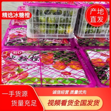 云南玉溪冰糖橙产地直发，一手货源，视频看货全国发货