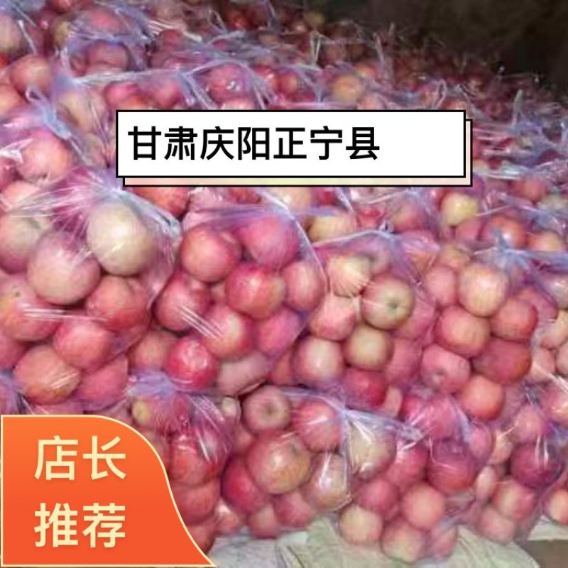 红富士苹果甘肃优质苹果，对接各大电商以及超市欢迎咨询