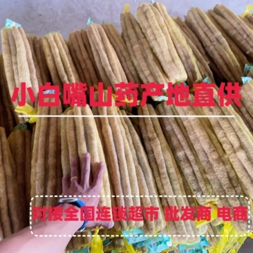 【河北小白嘴山药】常年有货软糯香甜对接市场电商商超