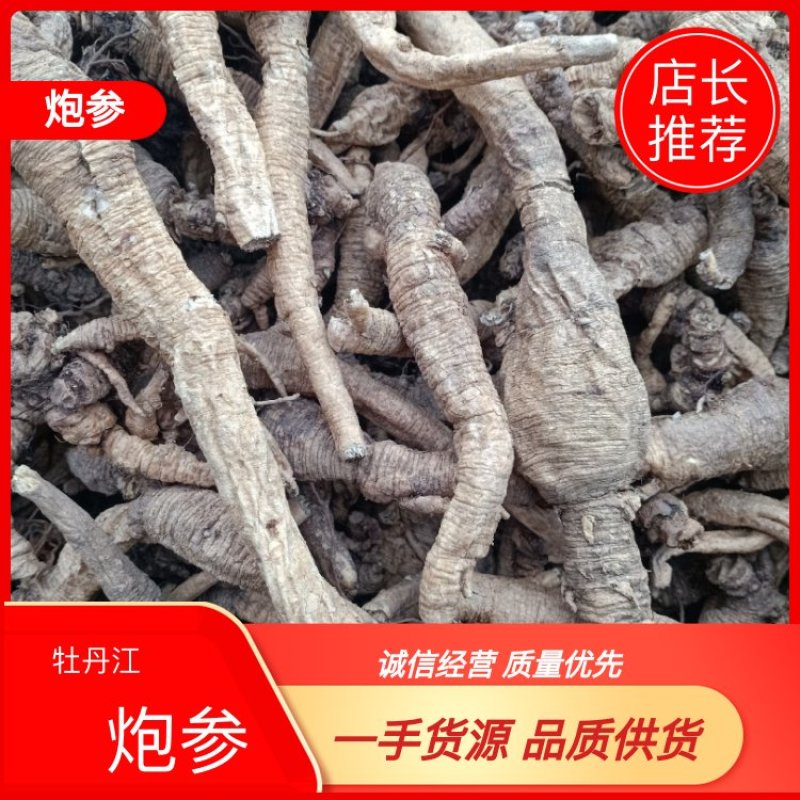 【精品】泡参，黑龙江省牡丹江市，野生大个泡参，滚筒水洗，