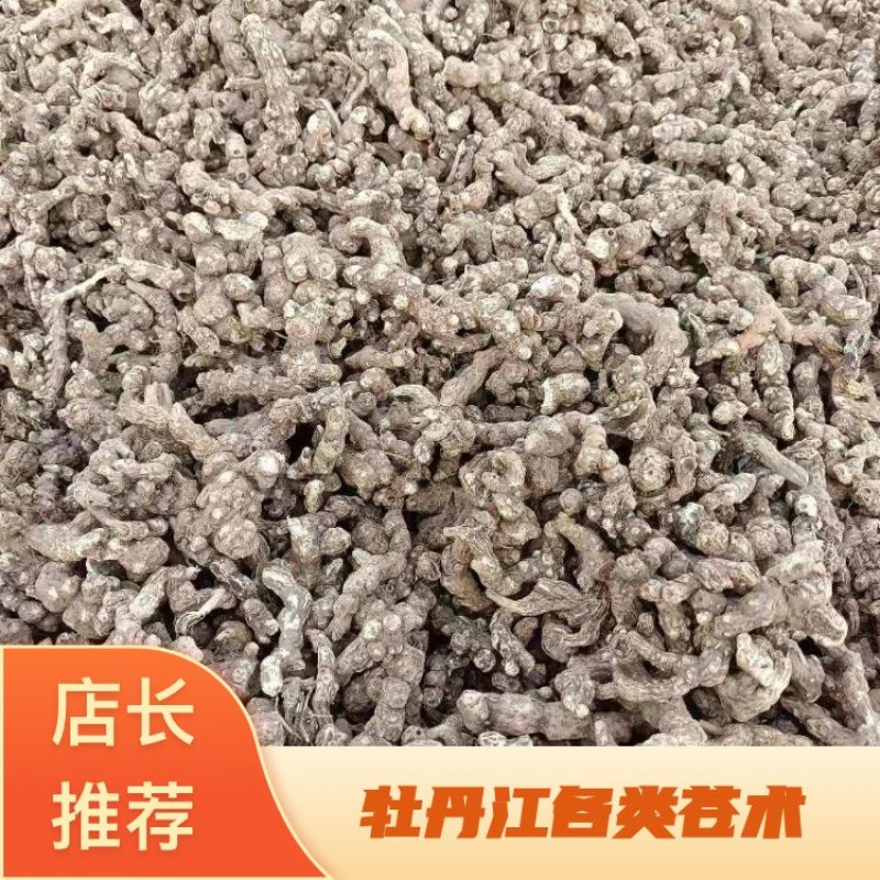 苍术，黑龙江省牡丹江野生白茬苍术光货，质量保证一手货源价