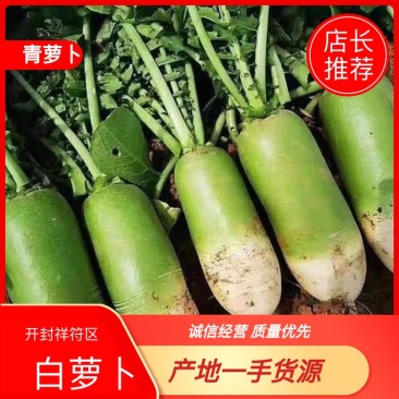 青萝卜白萝卜萝卜，大量上市，货源充足，量大从优价格便宜