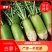青萝卜白萝卜萝卜，大量上市，货源充足，量大从优价格便宜