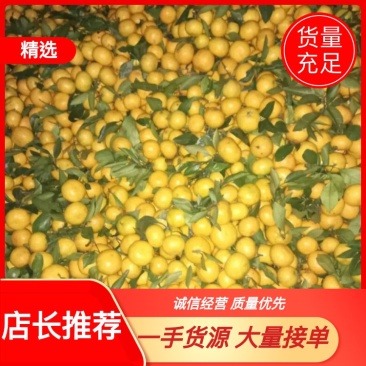 3到5公分带叶橘，颜色全红，皮薄如纸，口感纯正