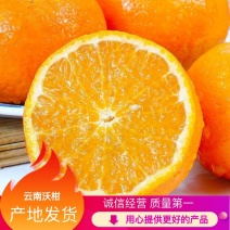 沃柑货源充足大量上市产地发货长期供应