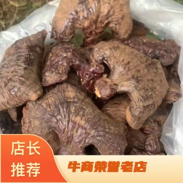 灵芝，一手货源，品质优良，诚信长期合作，欢迎电话联系