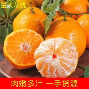陕西汉中新鲜蜜桔，规格齐全、皮毛干净橘面自带蜡。