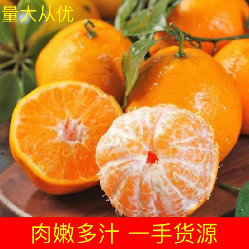 陕西汉中新鲜蜜桔，规格齐全、皮毛干净橘面自带蜡。