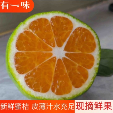 【推荐】湖北早熟蜜橘，产地直供货源稳定，适合电商市场