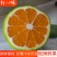 【推荐】湖北早熟蜜橘，产地直供货源稳定，适合电商市场