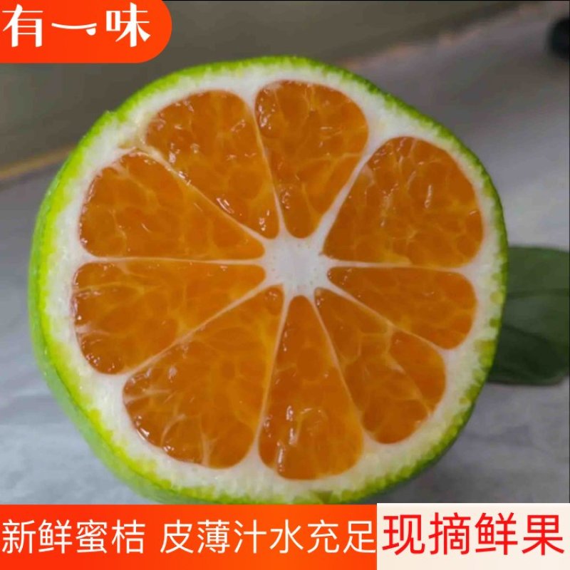 【推荐】湖北早熟蜜橘，产地直供货源稳定，适合电商市场