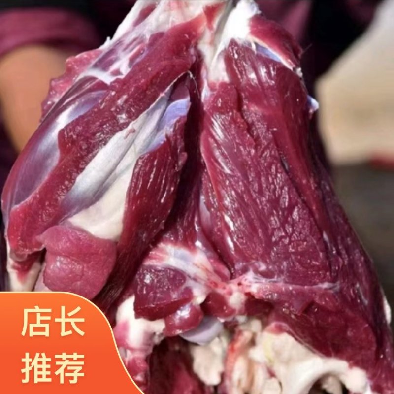 陕西横山跑山羊羊肉供应中精品羊肉品质保证诚信经营